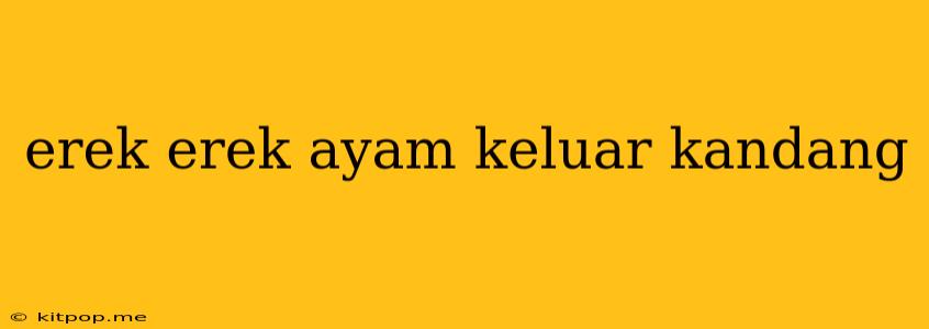 Erek Erek Ayam Keluar Kandang