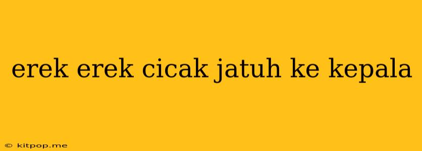 Erek Erek Cicak Jatuh Ke Kepala