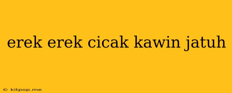 Erek Erek Cicak Kawin Jatuh