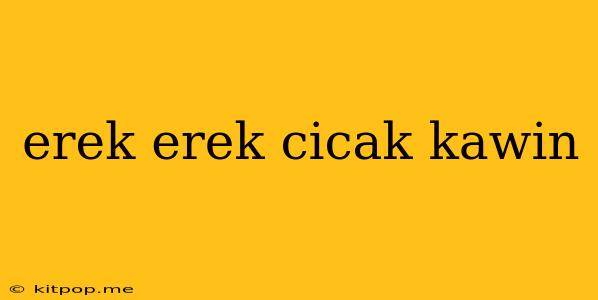 Erek Erek Cicak Kawin