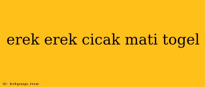 Erek Erek Cicak Mati Togel