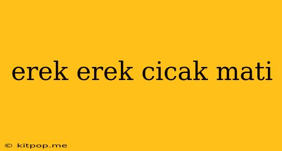 Erek Erek Cicak Mati