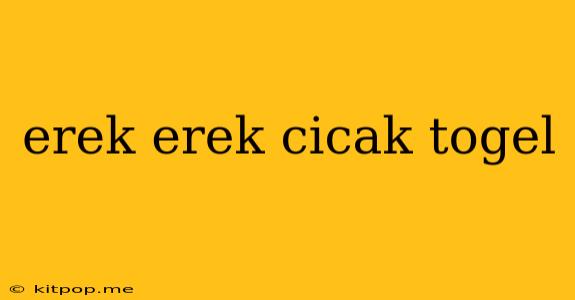 Erek Erek Cicak Togel