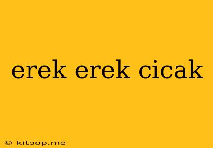 Erek Erek Cicak