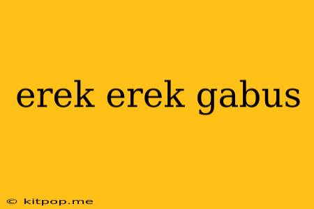 Erek Erek Gabus