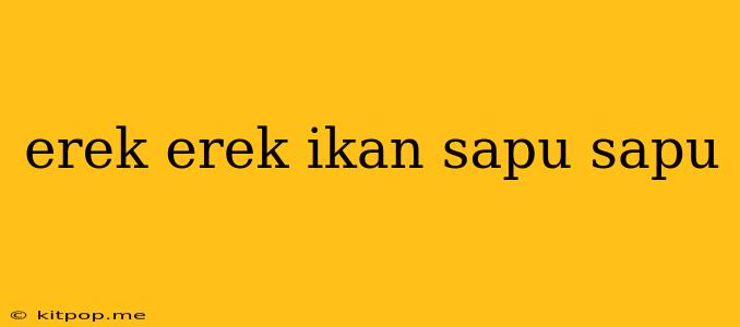 Erek Erek Ikan Sapu Sapu