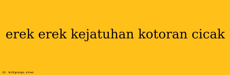 Erek Erek Kejatuhan Kotoran Cicak