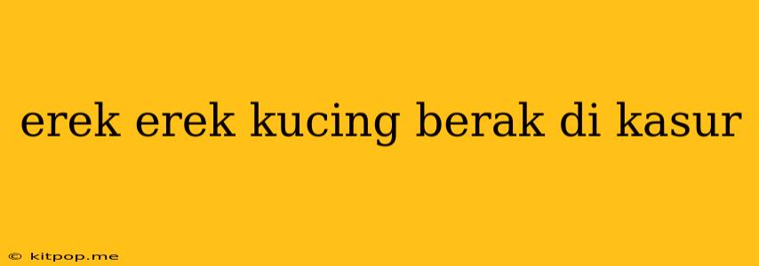 Erek Erek Kucing Berak Di Kasur