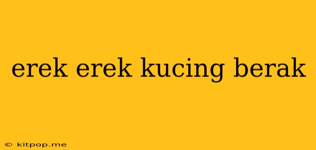 Erek Erek Kucing Berak