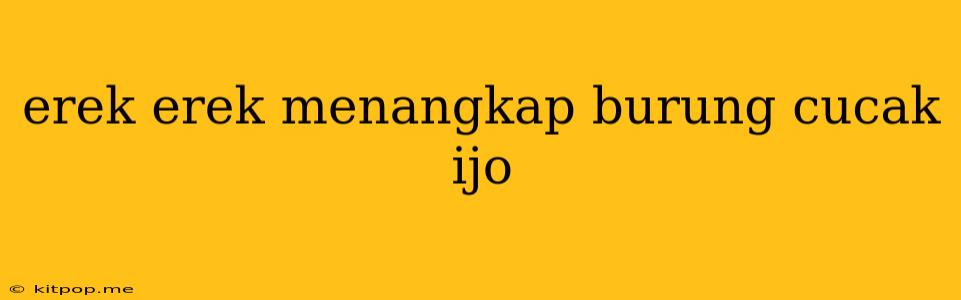 Erek Erek Menangkap Burung Cucak Ijo