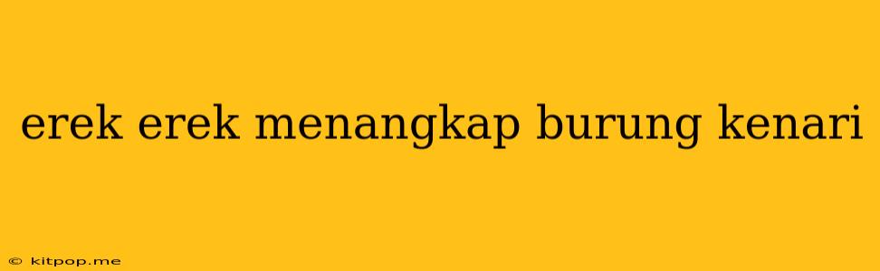 Erek Erek Menangkap Burung Kenari