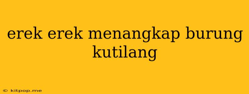 Erek Erek Menangkap Burung Kutilang