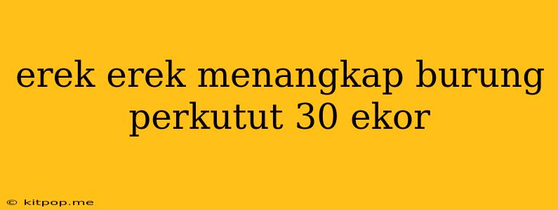 Erek Erek Menangkap Burung Perkutut 30 Ekor