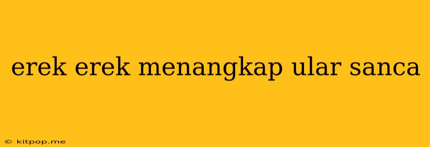 Erek Erek Menangkap Ular Sanca