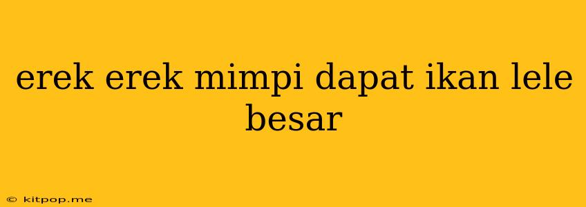 Erek Erek Mimpi Dapat Ikan Lele Besar