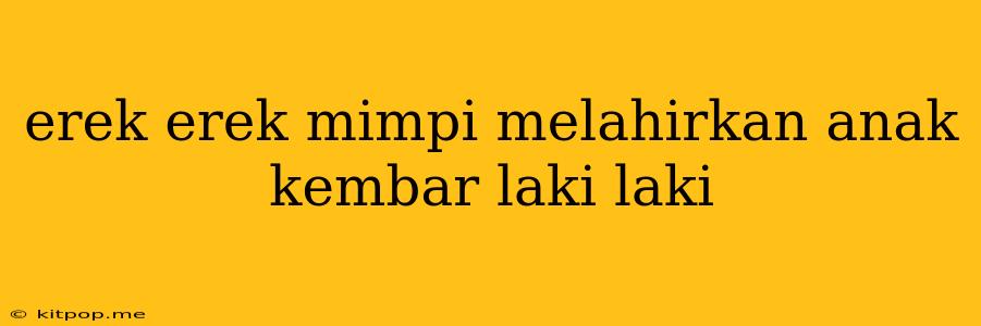 Erek Erek Mimpi Melahirkan Anak Kembar Laki Laki