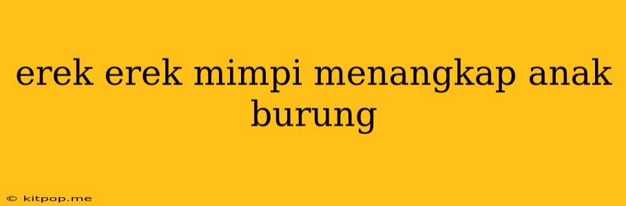 Erek Erek Mimpi Menangkap Anak Burung