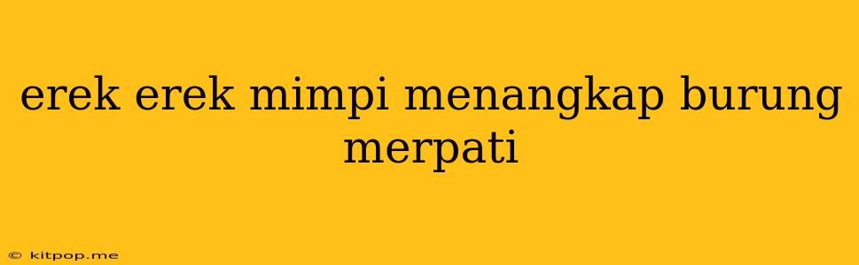 Erek Erek Mimpi Menangkap Burung Merpati