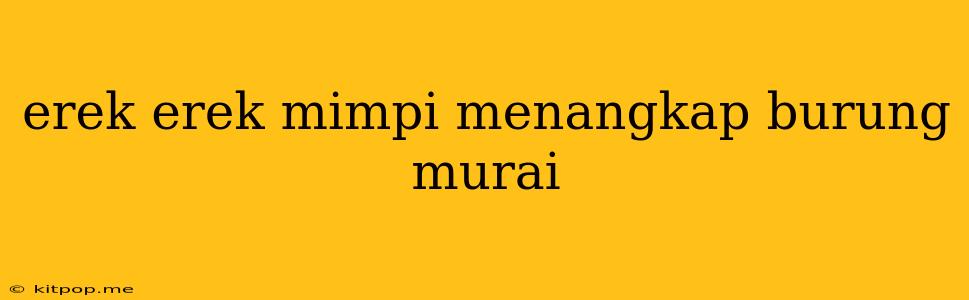 Erek Erek Mimpi Menangkap Burung Murai