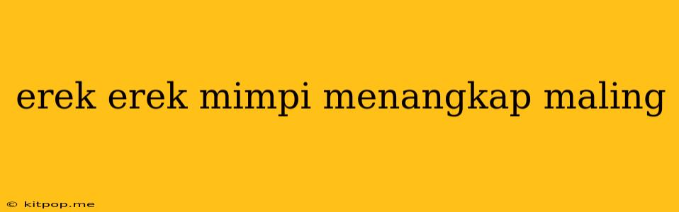 Erek Erek Mimpi Menangkap Maling