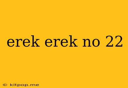 Erek Erek No 22