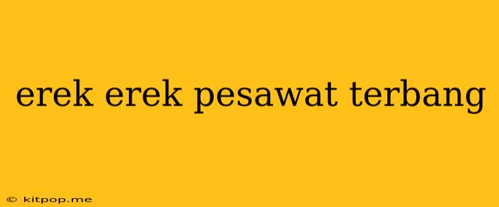 Erek Erek Pesawat Terbang