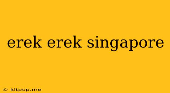 Erek Erek Singapore