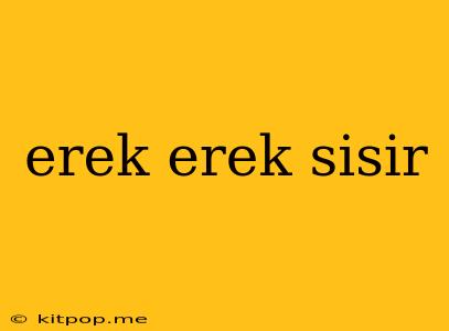 Erek Erek Sisir