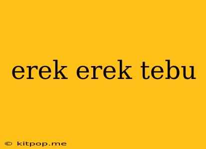 Erek Erek Tebu