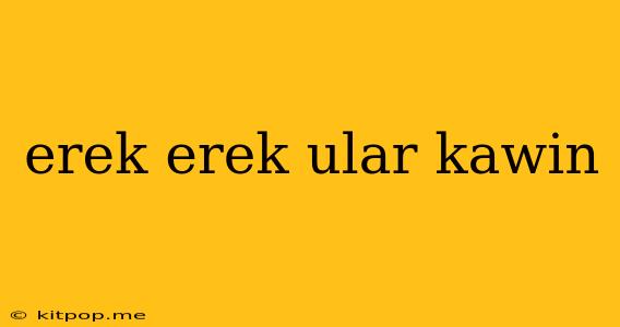 Erek Erek Ular Kawin