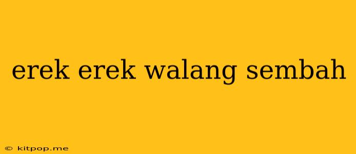 Erek Erek Walang Sembah