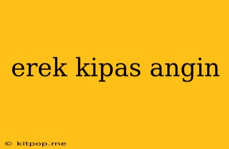 Erek Kipas Angin