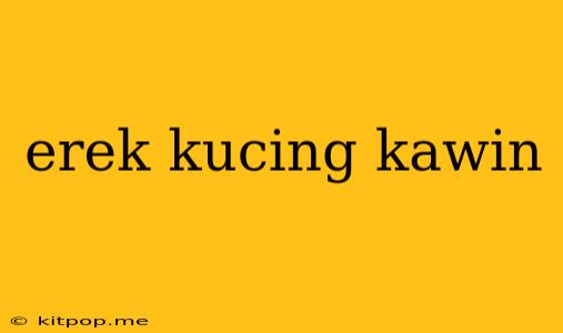 Erek Kucing Kawin