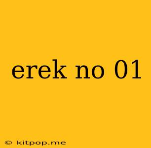 Erek No 01