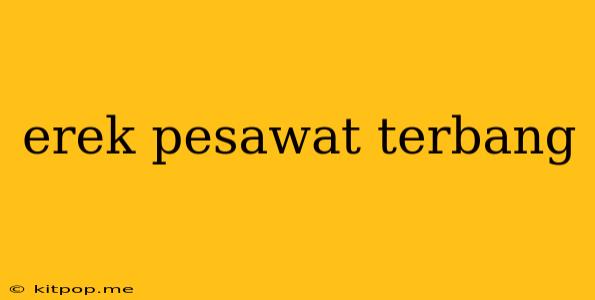 Erek Pesawat Terbang