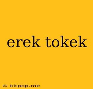 Erek Tokek