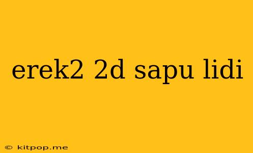 Erek2 2d Sapu Lidi