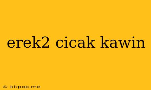 Erek2 Cicak Kawin