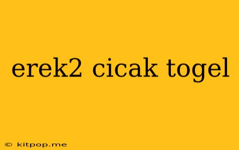 Erek2 Cicak Togel