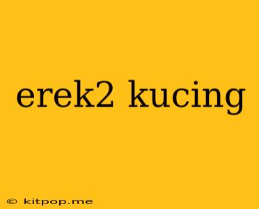 Erek2 Kucing