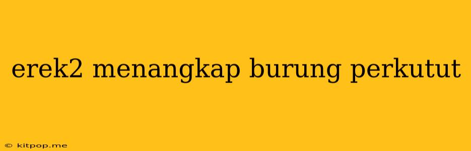 Erek2 Menangkap Burung Perkutut