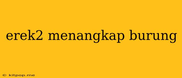 Erek2 Menangkap Burung