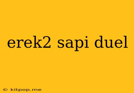 Erek2 Sapi Duel