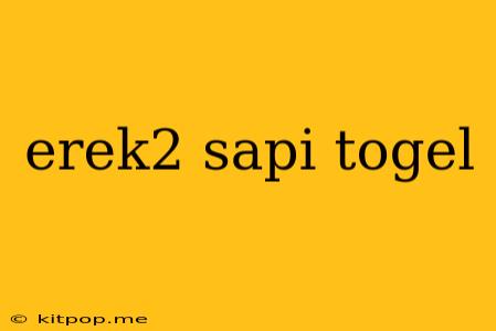 Erek2 Sapi Togel