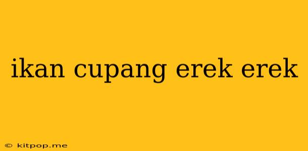 Ikan Cupang Erek Erek