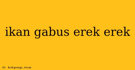 Ikan Gabus Erek Erek