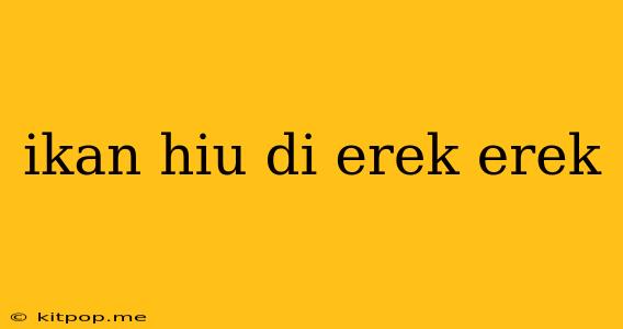 Ikan Hiu Di Erek Erek