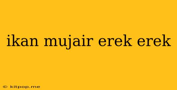 Ikan Mujair Erek Erek