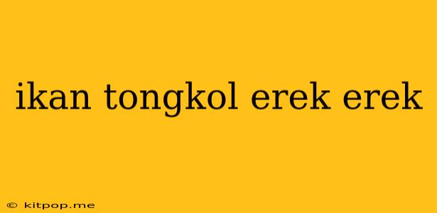 Ikan Tongkol Erek Erek