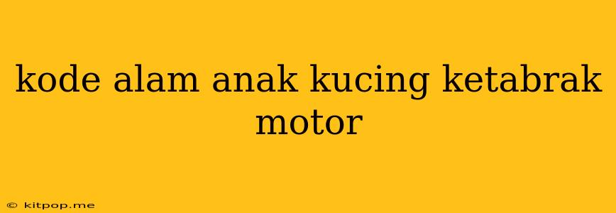 Kode Alam Anak Kucing Ketabrak Motor